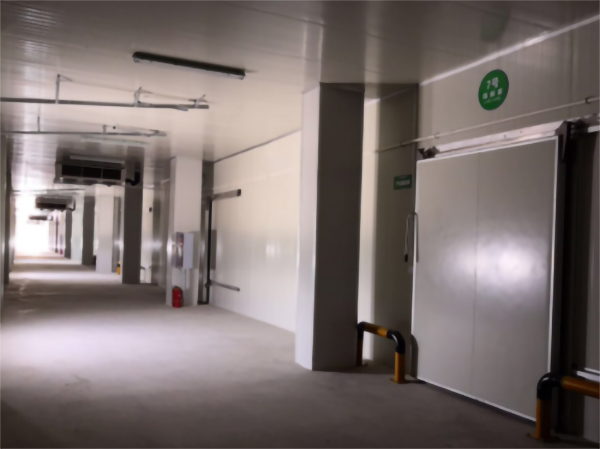 食品公司內(nèi)建造一個(gè)1000平包子、水餃速凍冷庫(kù)費(fèi)用是多少？