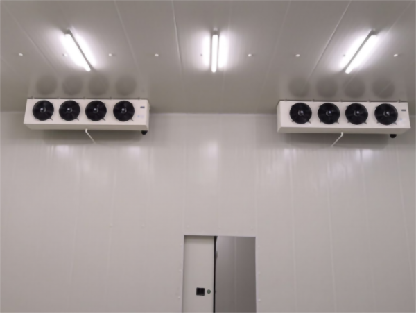 食品公司內(nèi)建造一個(gè)1000平包子、水餃速凍冷庫(kù)費(fèi)用是多少？