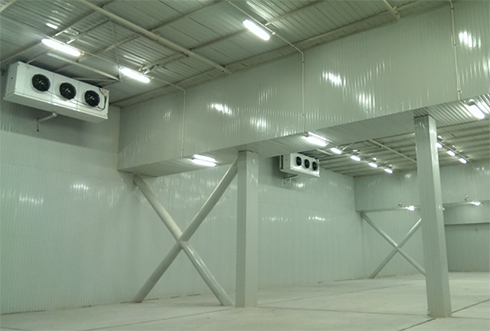 速凍冷庫設(shè)計(jì)注意事項(xiàng)及其具備功能有哪些? 速凍冷庫設(shè)計(jì)注意事項(xiàng)及其具備功能有哪些?