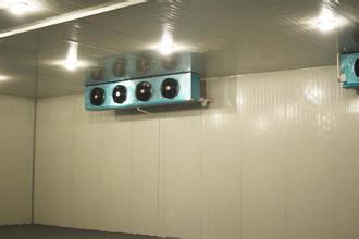 水果、蔬菜保鮮冷庫(kù)安裝，冷庫(kù)工程建造