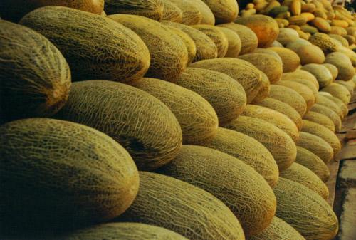 建一座哈密瓜保鮮庫需要多少投資？冷庫設(shè)備費(fèi)用