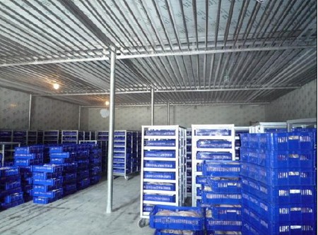 -18~-23℃冷凍庫哪種制冷方式好？（冷風(fēng)機，鋁排）