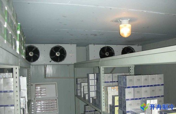 上海藥廠建造-20℃醫(yī)藥血漿冷庫(kù)，超低溫血漿冷庫(kù)定制預(yù)算多少