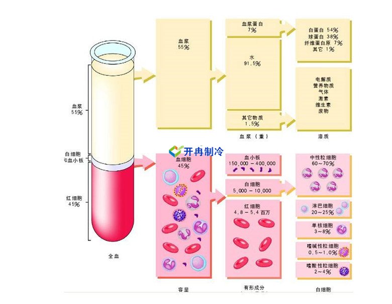 -30℃～-80℃血漿蛋白低溫冷凍庫規范，冷庫安裝價格
