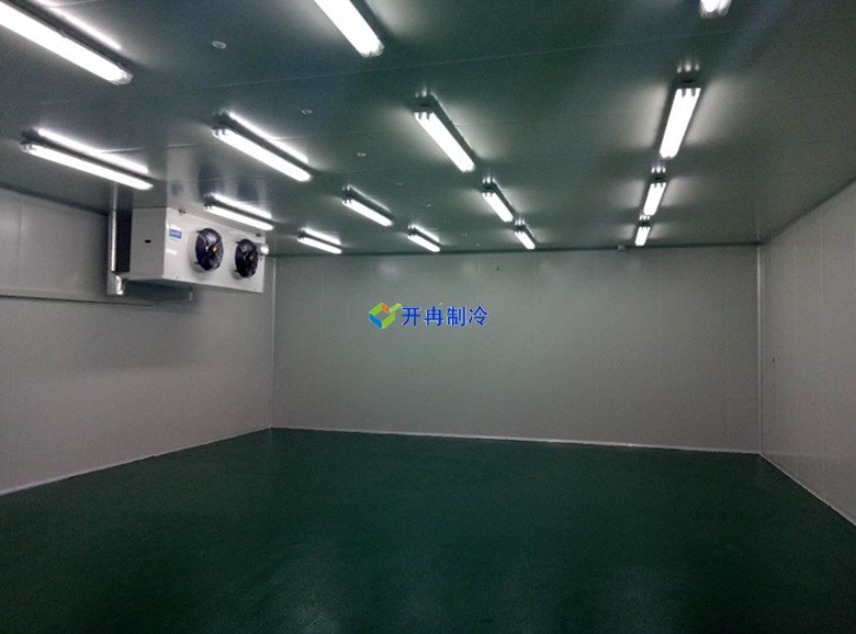 醫(yī)療冷庫(kù)的安裝標(biāo)準(zhǔn)，2-8℃生物制品冷庫(kù)安裝制冷設(shè)備造價(jià) 冷庫(kù)內(nèi)景圖片