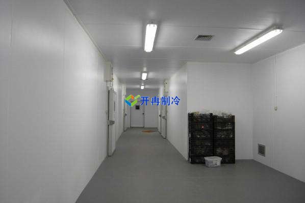 定制酒店冷凍庫、食堂雙溫庫、餐飲冷藏庫工程造價